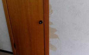 Дверь в туалет Бузим